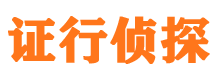 广东市侦探调查公司